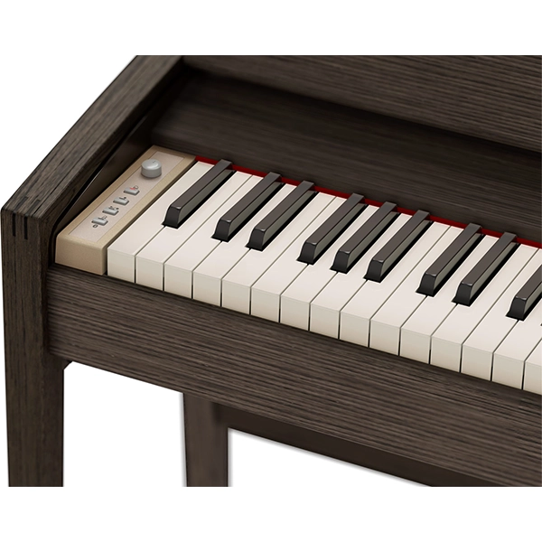Music City – Tổng Kho Piano, Guitar, Organ | Dịch Vụ Giáo Dục Âm Nhạc