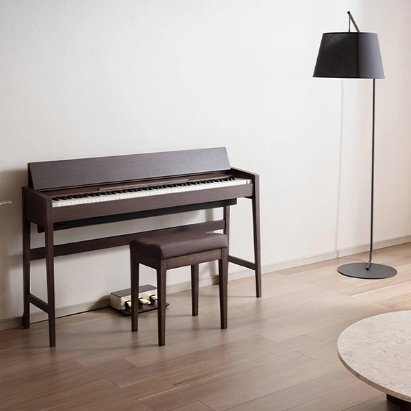 Music City – Tổng Kho Piano, Guitar, Organ | Dịch Vụ Giáo Dục Âm Nhạc